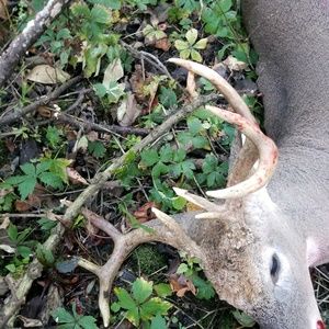 Meet your Posher, Drew